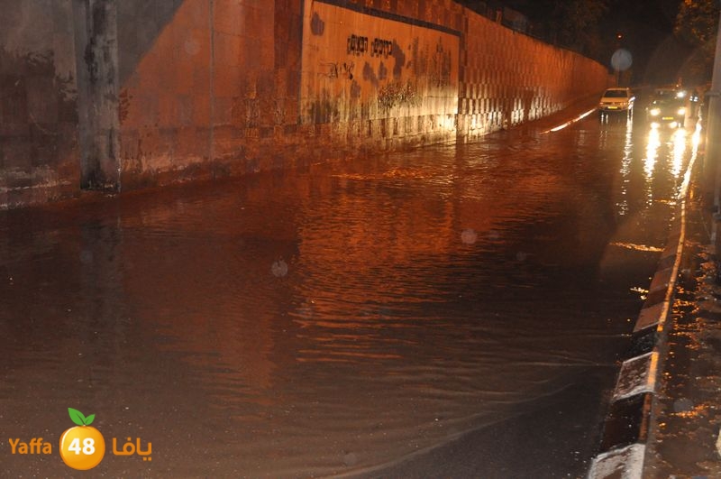 rain lud 1212 (27).JPG